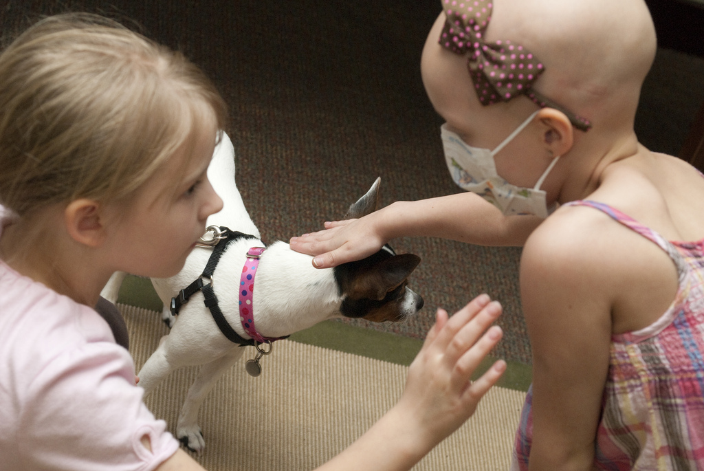 child patient petting dog with another child reaching out